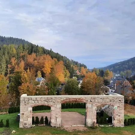 Alte-foersterei-wildenthal-app-5 * Eibenstock